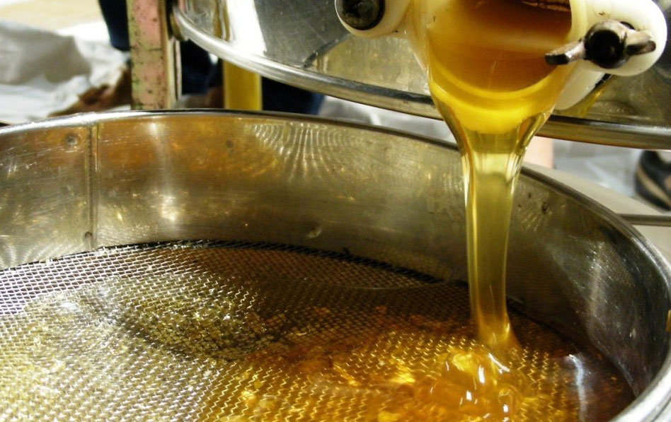 Maltempo, Coldiretti: "Raccolta del miele praticamente azzerata"