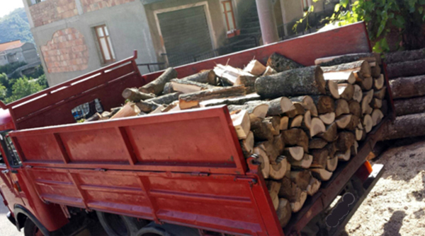 Denunciate tre persone per taglio alberi nel catanzarese