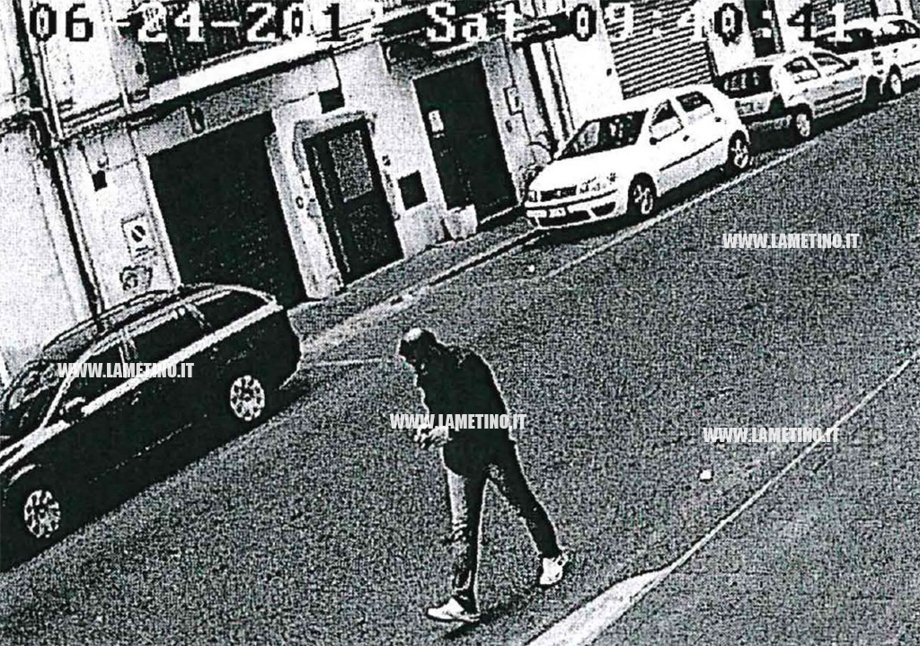 gallo_fot1.jpg
