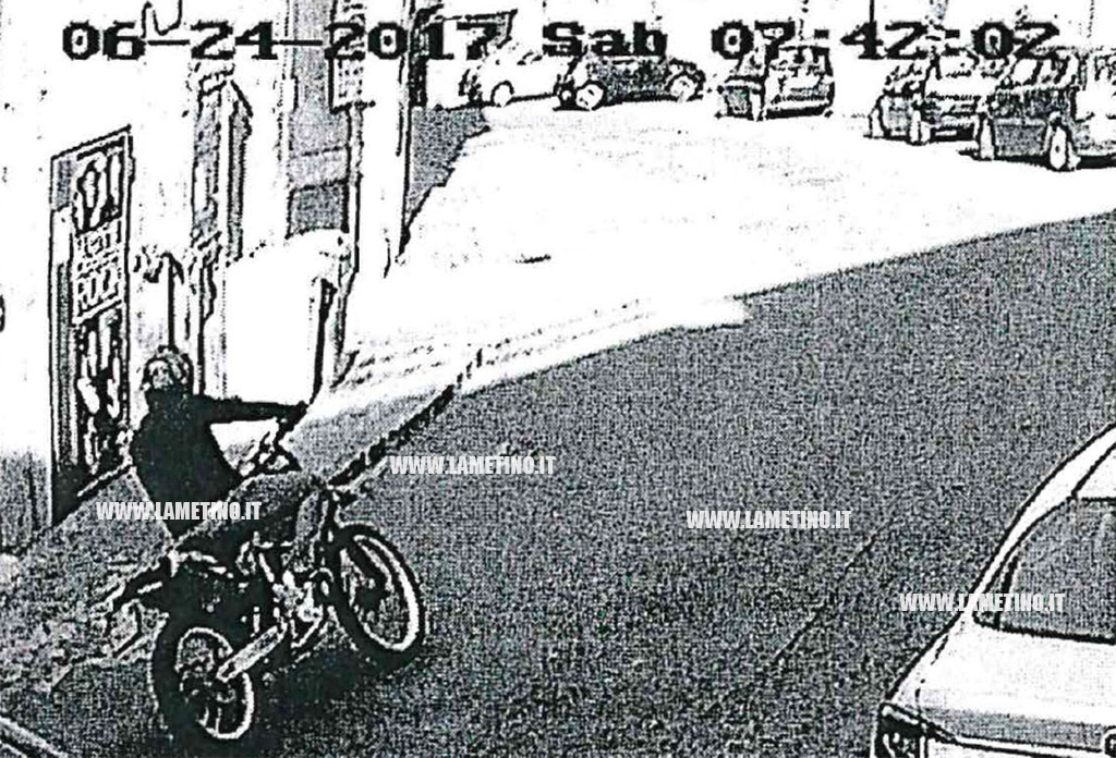 gallo_fot3_4f125.jpg