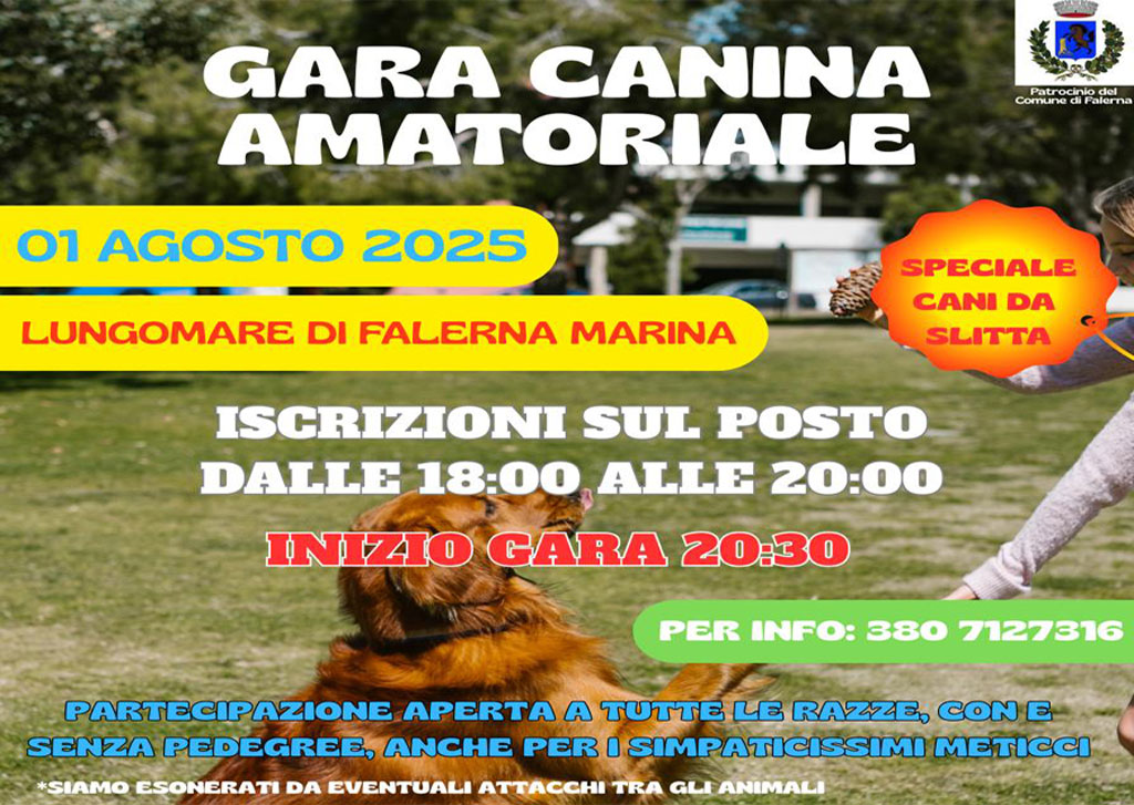 gara-Image-2025-07-29-at-09.03.41_8d9c2.jpg