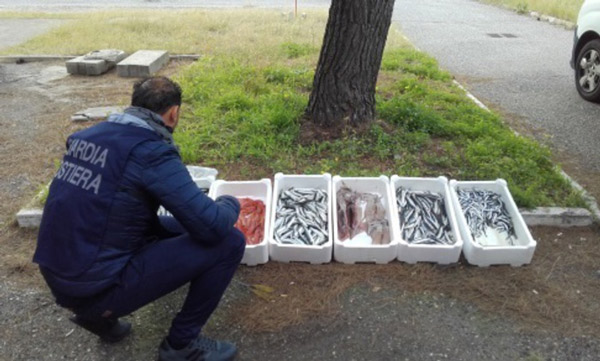 Guardia costiera sequestra 160 kg di prodotti ittici nel reggino