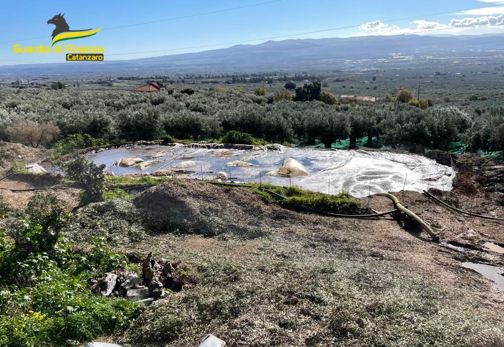 Lamezia, sequestrato stabilimento per produzione e vendita di olio d’oliva: denunciato titolare per reati ambientali