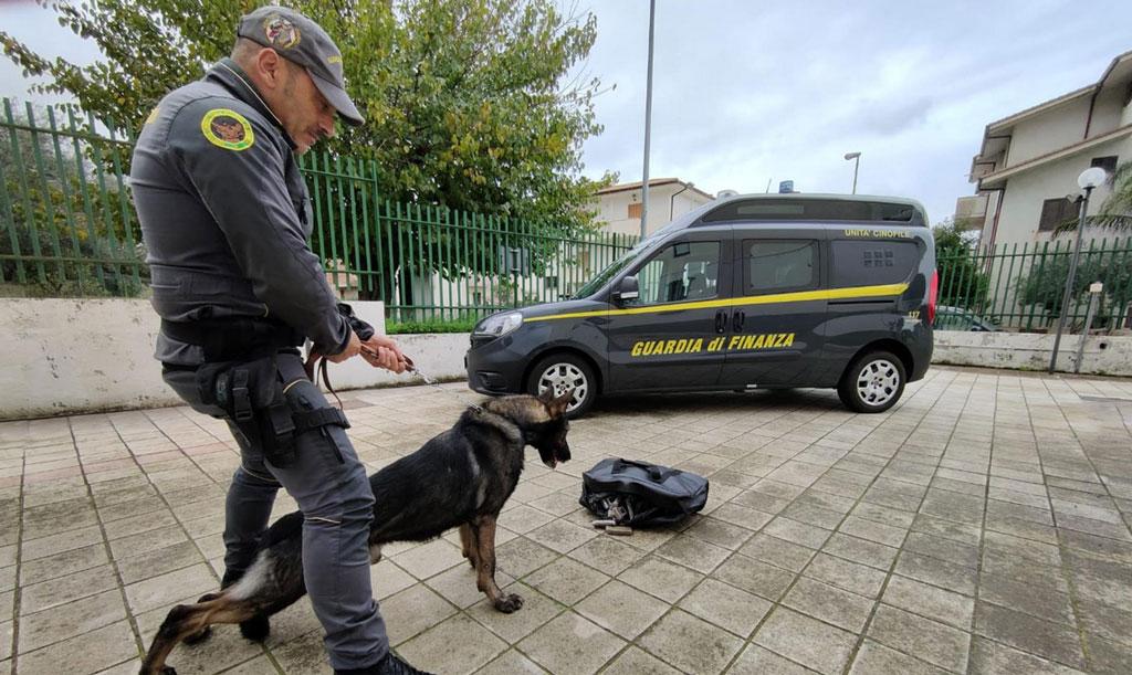 Gdf Cosenza sequestra oltre 10 kg cocaina, un arresto