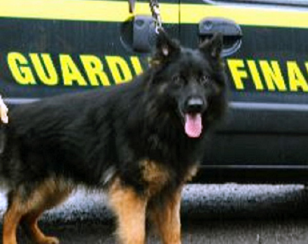 Guardia di Finanza sequestra oltre 5 kg eroina, un arresto