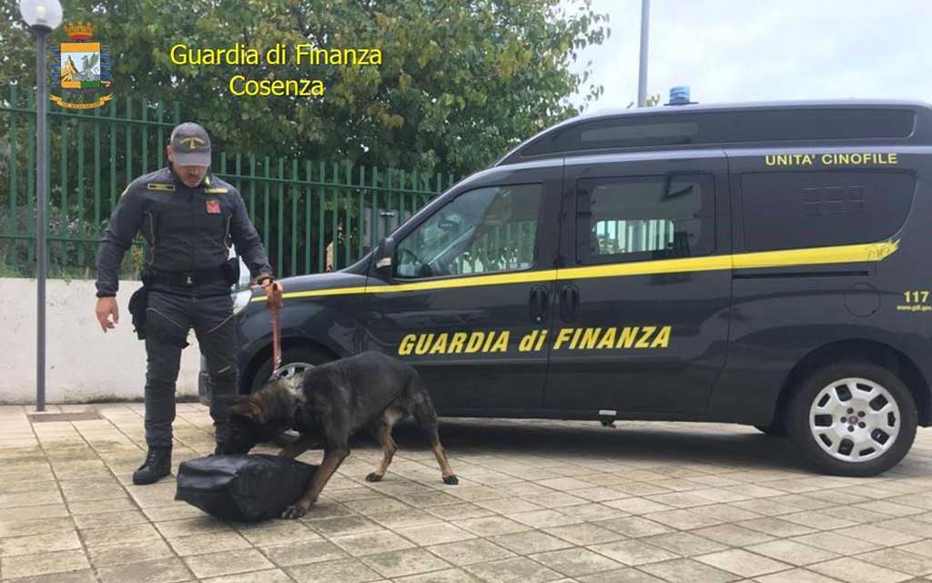 Viaggiava su bus con 2 kg di hascisc, arrestato a Roseto Capo Spulico