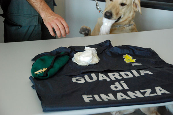 Lamezia, viaggiava in autostrada con 109 grammi di cocaina, arrestato