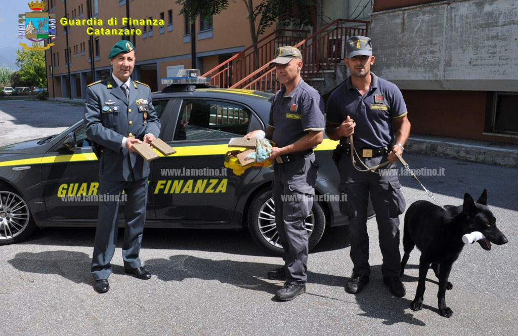 gdf-lamezia-droga-cane-4-sett-2015.jpg