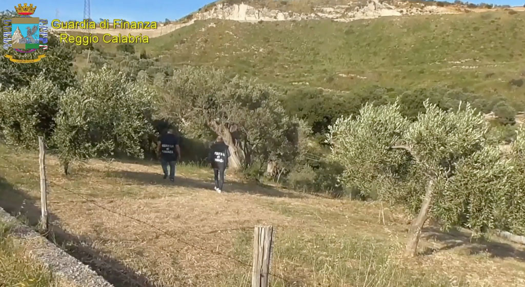 Controlli in aziende agricole della locride: scoperta truffa per oltre 5,6 milioni - VIDEO