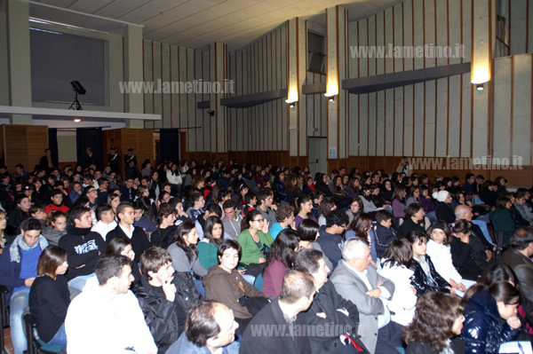 gerbera_gialla_liceo_campanella_lamezia_platea