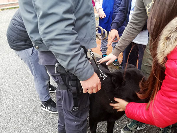 Lamezia, progetto “Educazione alla legalità economica”: Guardia di finanza incontra gli alunni del Nicotera-Costabile