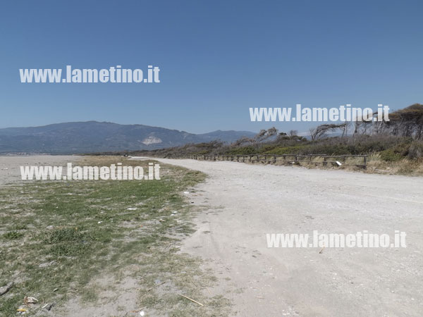 Costituito comitato “Ginepri comprensorio costa lametina”