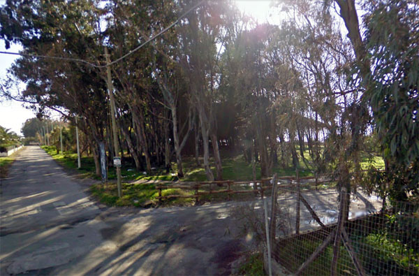 “Ginepri comprensorio della costa lametina”, ringrazia amministrazione comunale per affidamento pineta 