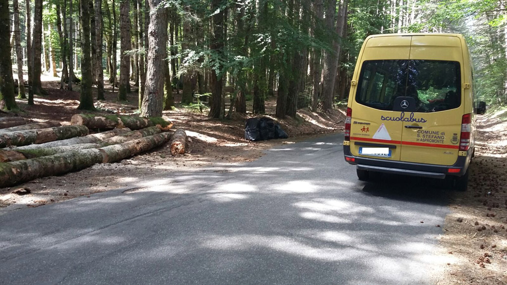 Giornata ecologica in Aspromonte, baby consiglio comunale Santo Stefano ripulisce boschi a Gambarie