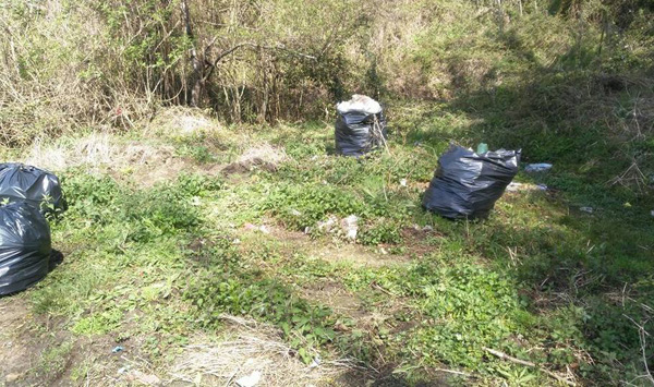 Giornata ecologica a Motta Santa Lucia, vicesindaco: “Tolleranza zero contro abbandono indiscriminato dei rifiuti”