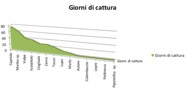 giorni-di-cattura.jpg