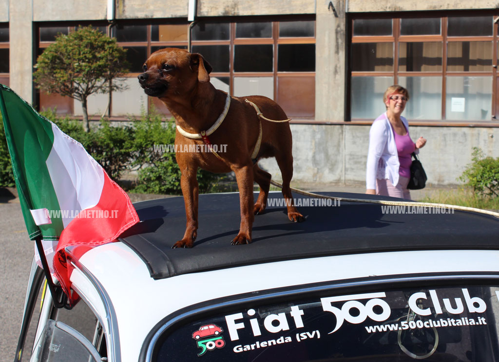 giro-500-lamezia-cane2.jpg