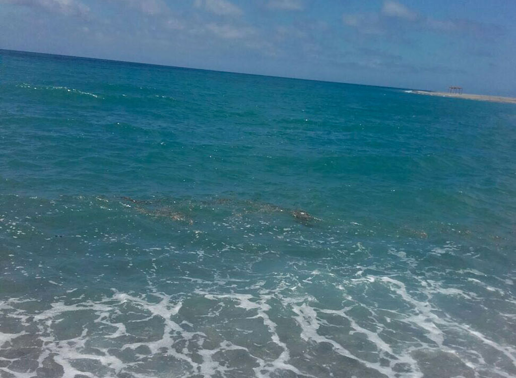 Ancora segnalazioni di mare sporco tra Cafarone e Gizzeria lido