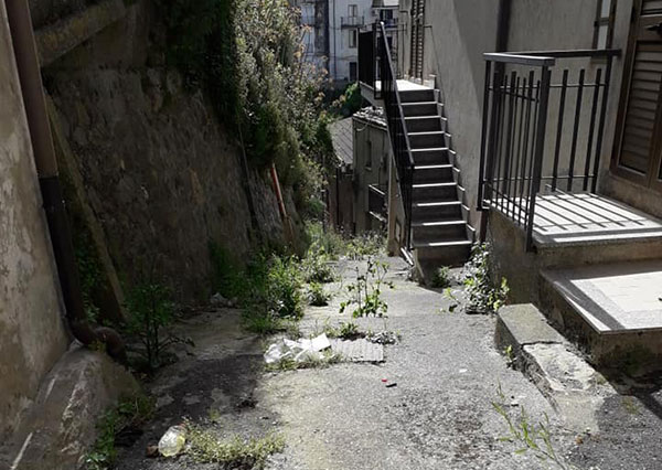 I consiglieri di minoranza di Gizzeria: "Vie invase da erbacce, intervenire subito"