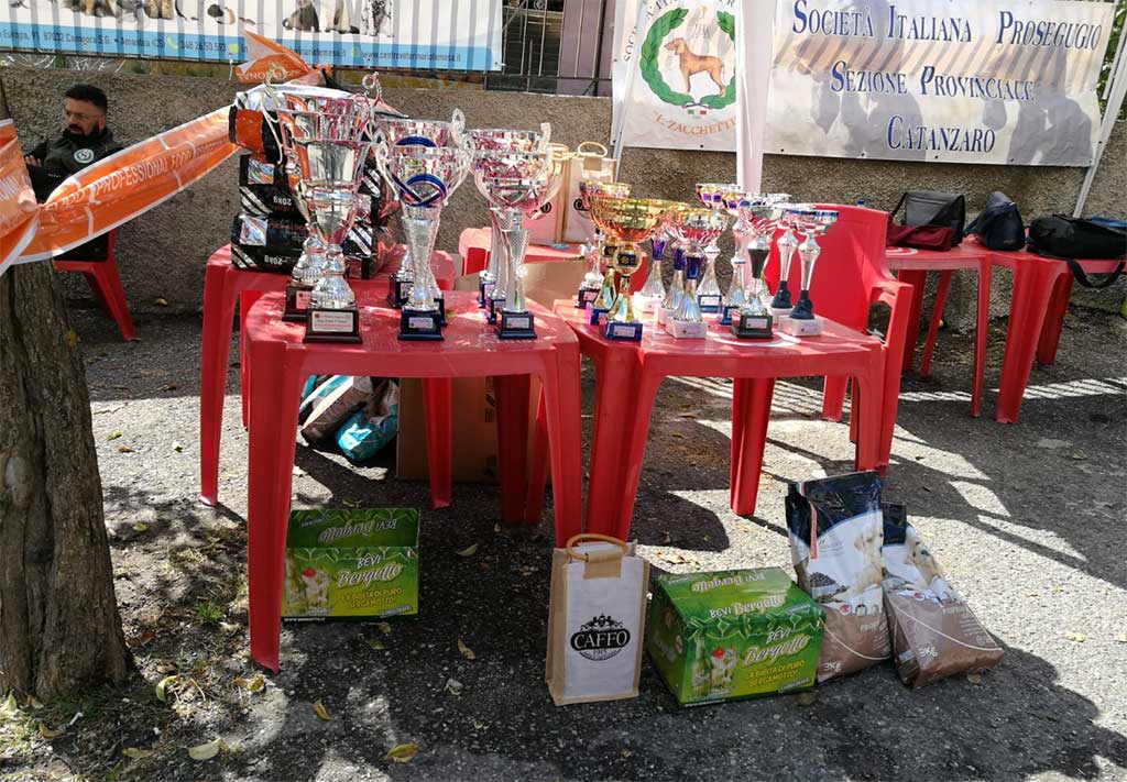 gizzeria-cani-segugio-raduno-010619.jpg
