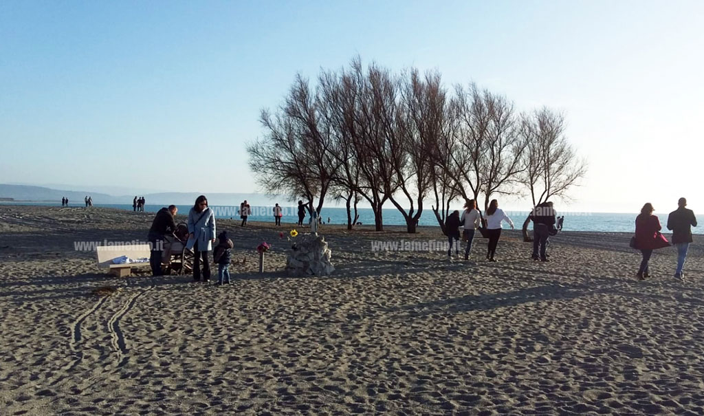 gizzeria-lido-202021.jpg
