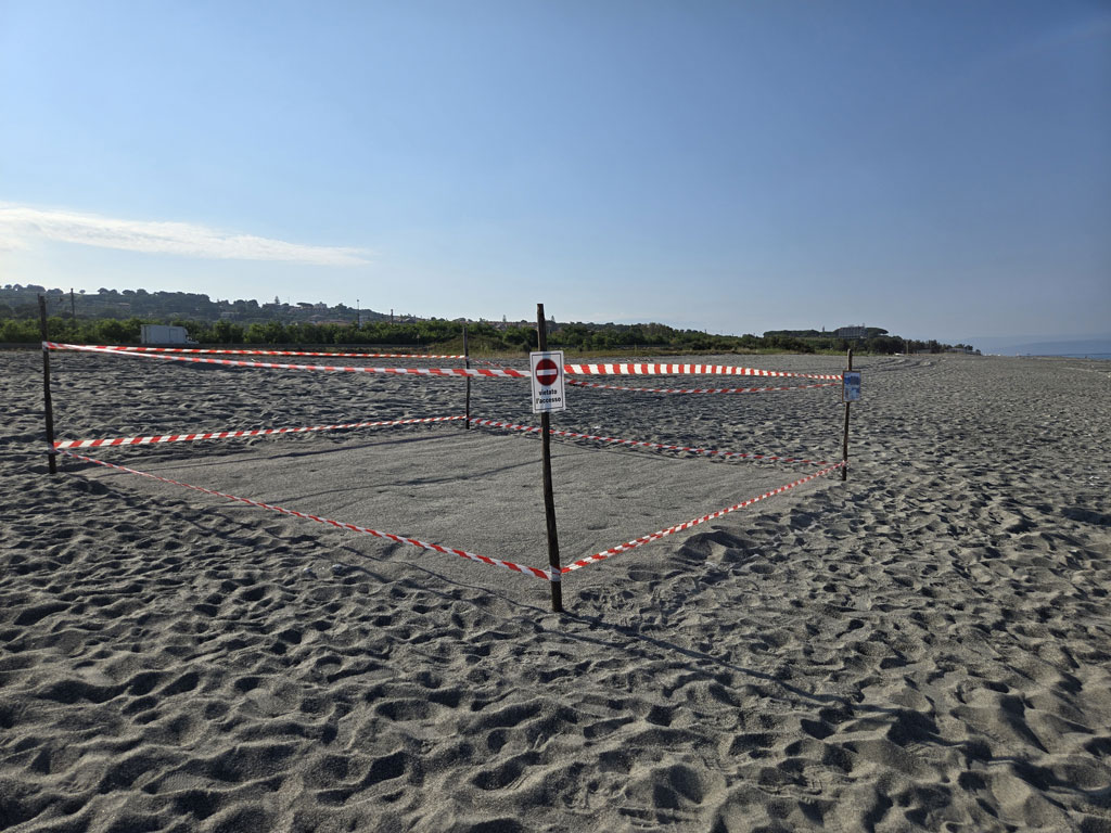 gizzeria-lido_91d12.jpg