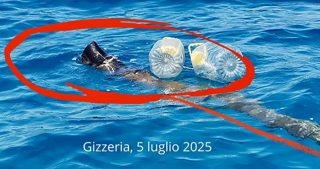 gizzeria157_3251909139475828998_n_0466a.jpg