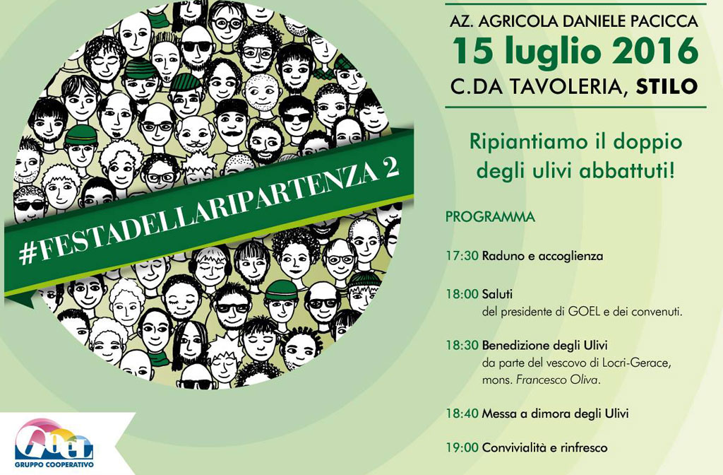 Ulivi abbattuti nel reggino, dopo intimidazione Goel li ripianta