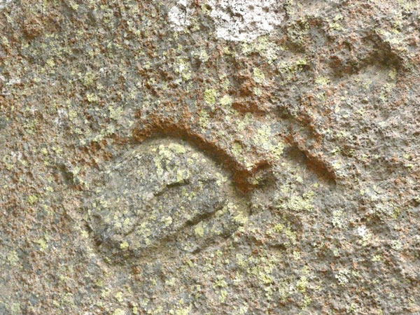 Scoperti graffiti su altopiano "Pietra Santa" a Davoli
