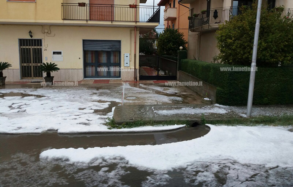 grandine-botricello-2.jpg