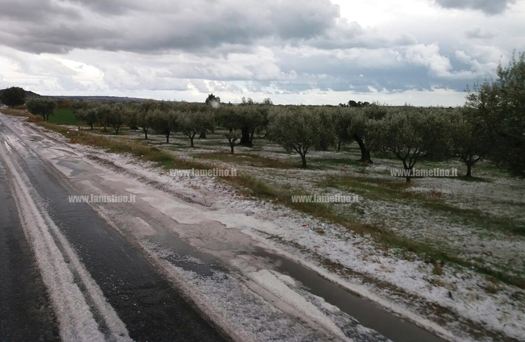 grandine-botricello1.jpg