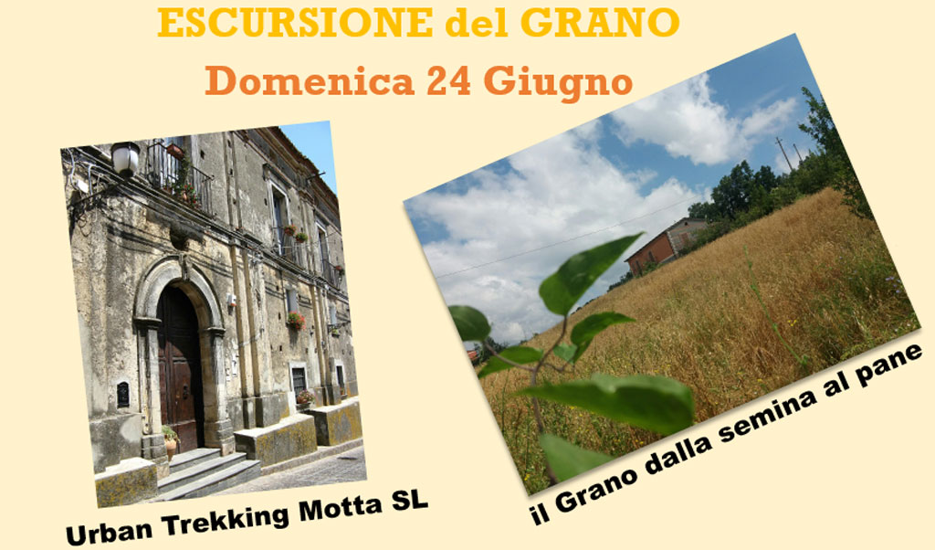 Da Motta Santa Lucia parte l’Escursione del grano il 24 giugno con l’associazione Conflenti Trekking