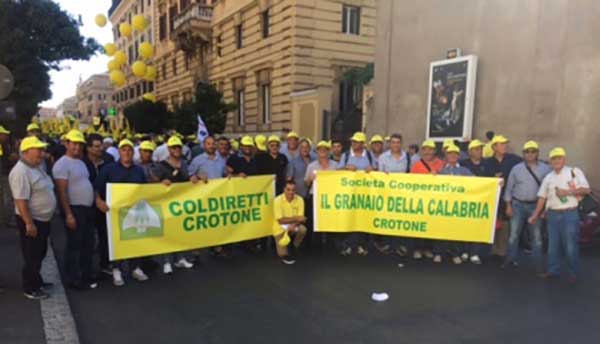 Coldiretti Calabria: "Trebbiatura del grano al via in una stagione tra luci e ombre"