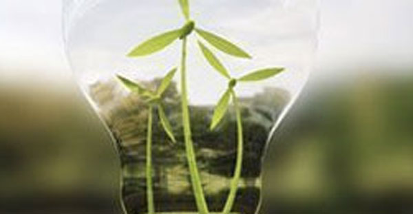 "Progetto Greens", la Regione Calabria e Alessco in Svezia per il quinto meeting transnazionale