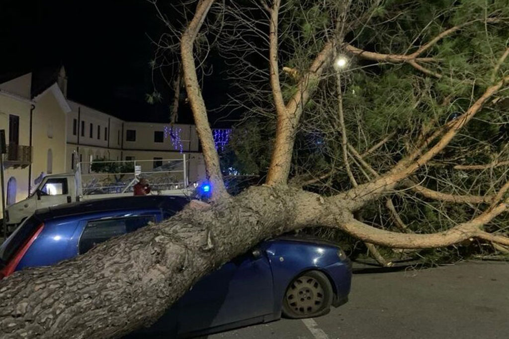 Grosso albero cade su un'auto per forti raffiche di vento nel Cosentino