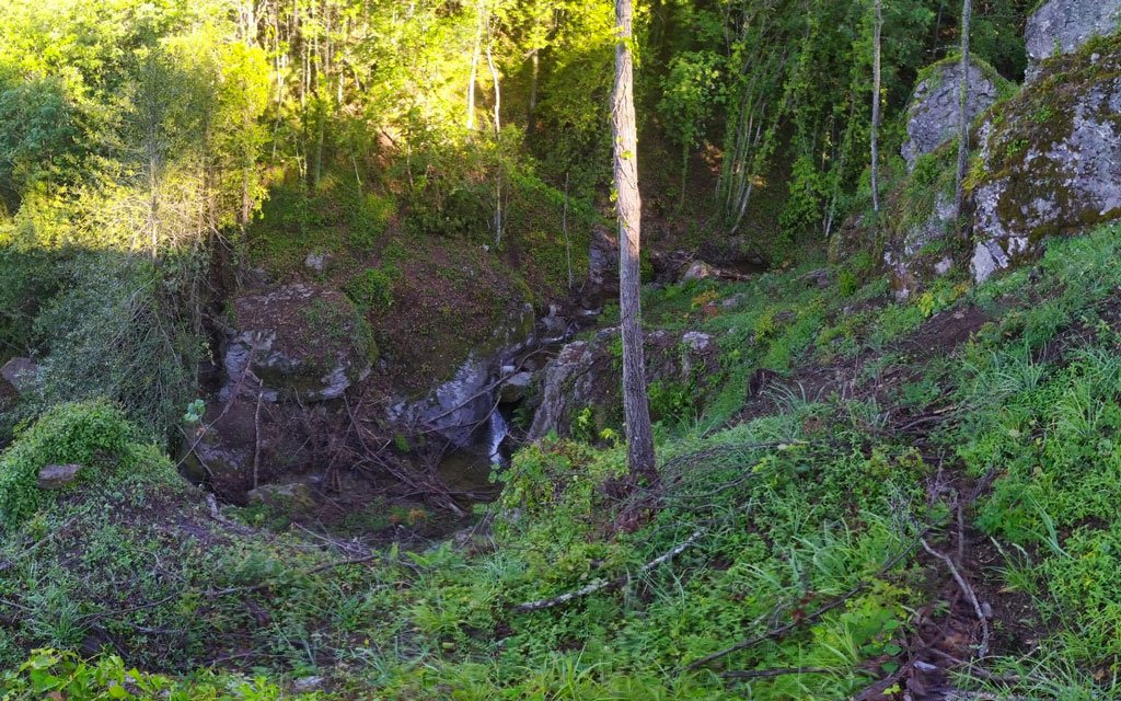 Discovering Reventino: “‘Sentiero del Brigante’ accesso a grotta danneggiati dal taglio di parte del bosco”