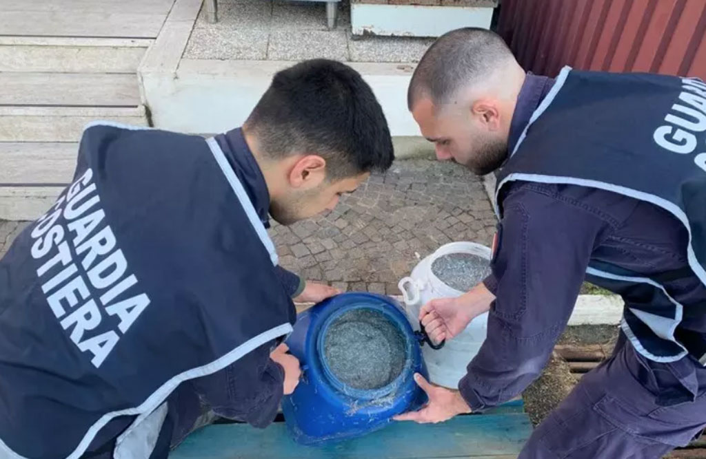Guardia costiera sequestra 114 chili di novellame nel Reggino