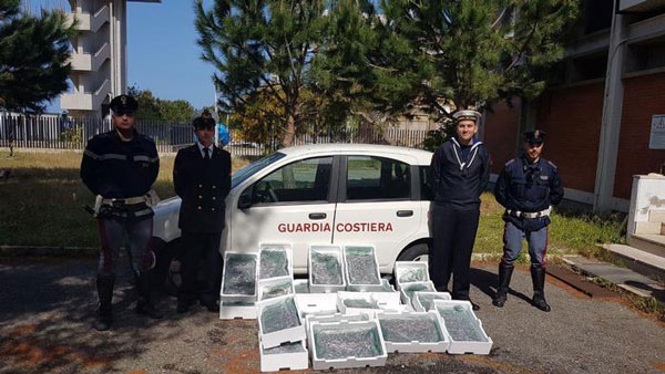 Sequestrati 1,5 quintali prodotto ittico non tracciato su Salerno-Reggio Calabria