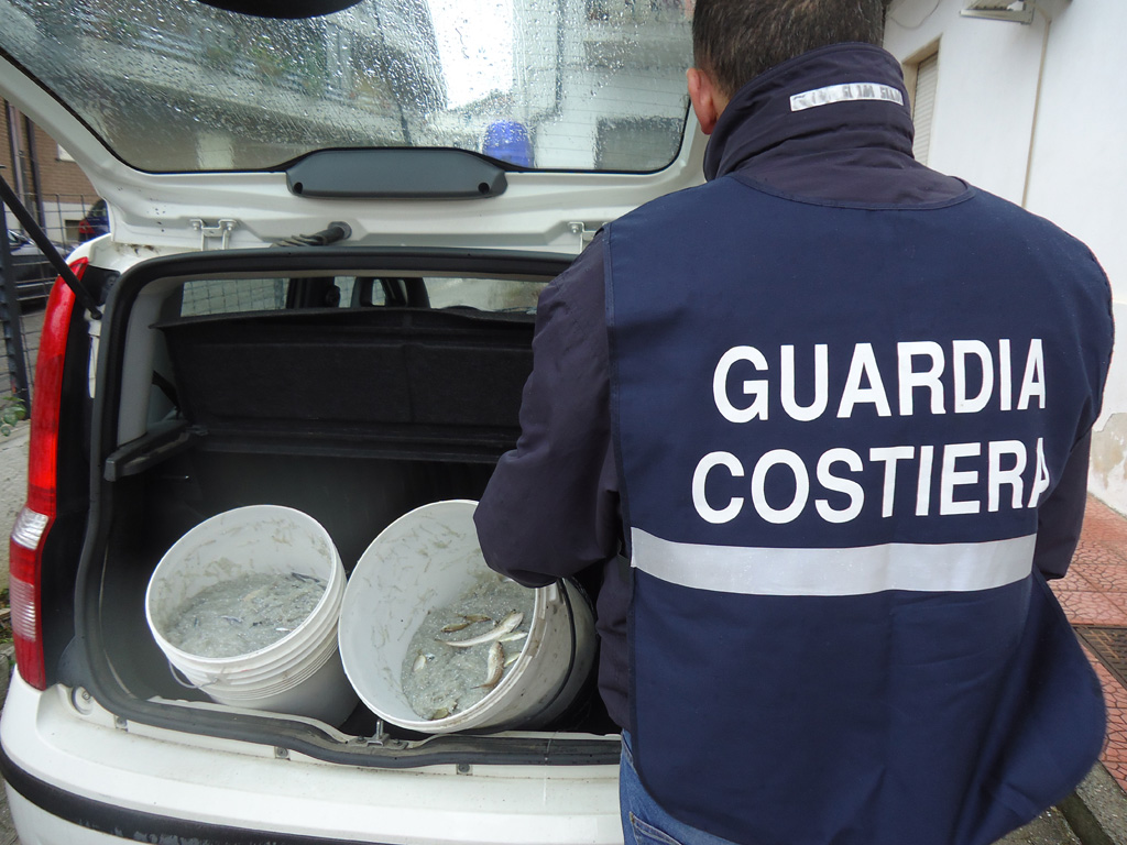 Tolleranza zero per pesca illegale, Guardia Costiera sequestra altri 250 kg bianchetto 