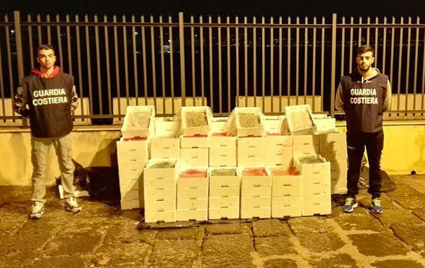 Guardia costiera sequestra 750 kg bianchetto a Villa San Giovanni