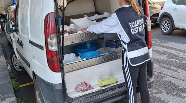 Controlli sulla filiera ittica e pesca irregolare a Lamezia e Gizzeria, sequestri e sanzioni 