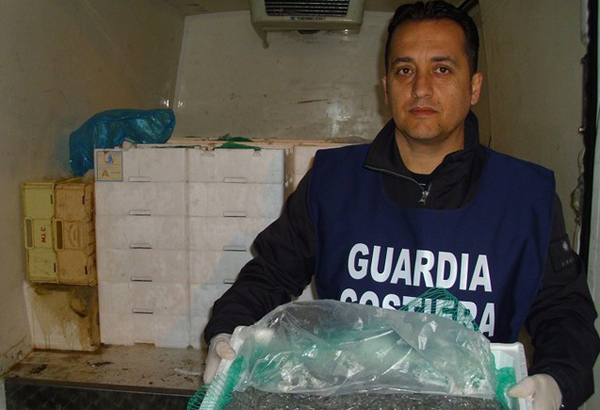 Calabria: Guardia costiera sequestra cinque quintali di bianchetto a Villa San Giovanni
