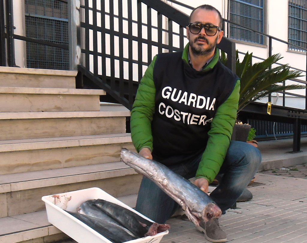 Guardia Costiera sequestra 40 chili novellame di pesce spada nel cosentino 