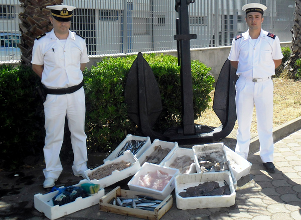 Guardia costiera sequestra un quintale di pesce a Corigliano