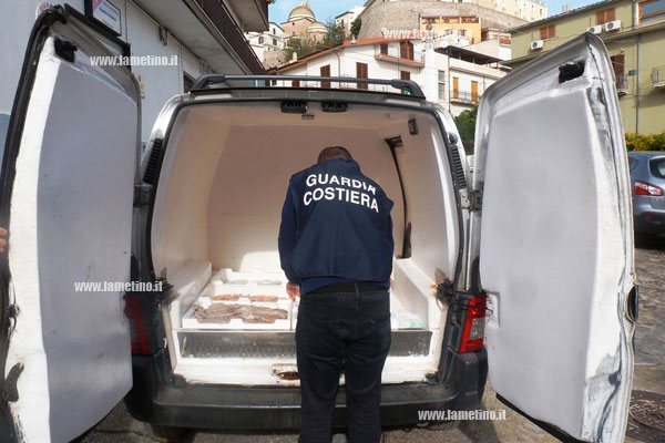 Calabria: Guardia costiera sequestra 30 kg pesce in cattivo stato conservazione