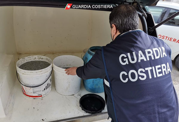 Sequestrati 114 kg di novellame di sarda nel Cosentino