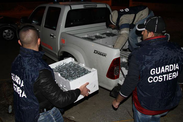 Sequestrati 200 chili di novellame di sarda, denunce a Crotone