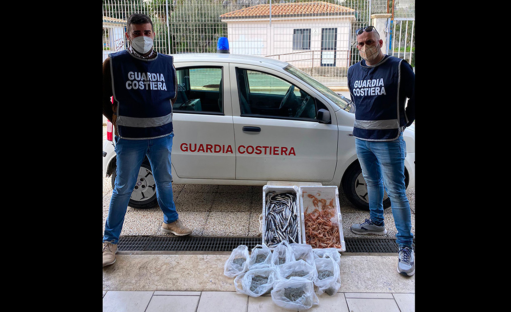 Prodotti ittici detenuti illegalmente nel Vibonese, sequestrati