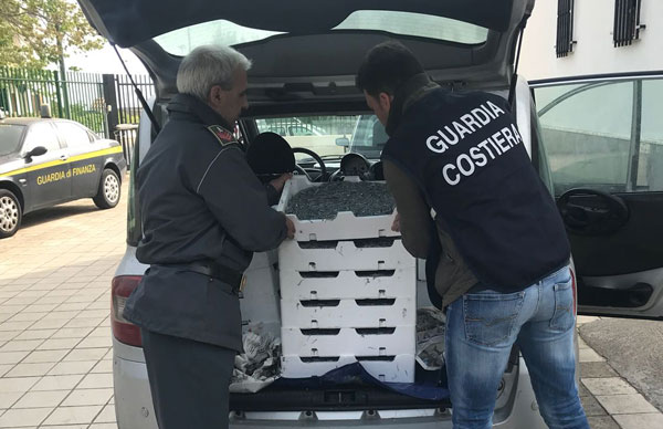 Sequestrati 3 quintali e mezzo di novellame a Roseto Capo Spulico, multe per 25mila euro