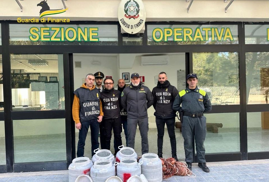 Lotta alla pesca di frodo del novellame di sarda, sequestro di oltre mezza tonnellata in Calabria